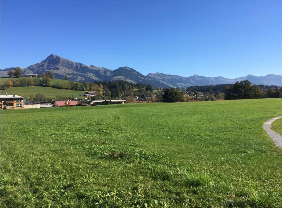 Apartment Streifblick Reith bei Kitzbühel Екстериор снимка